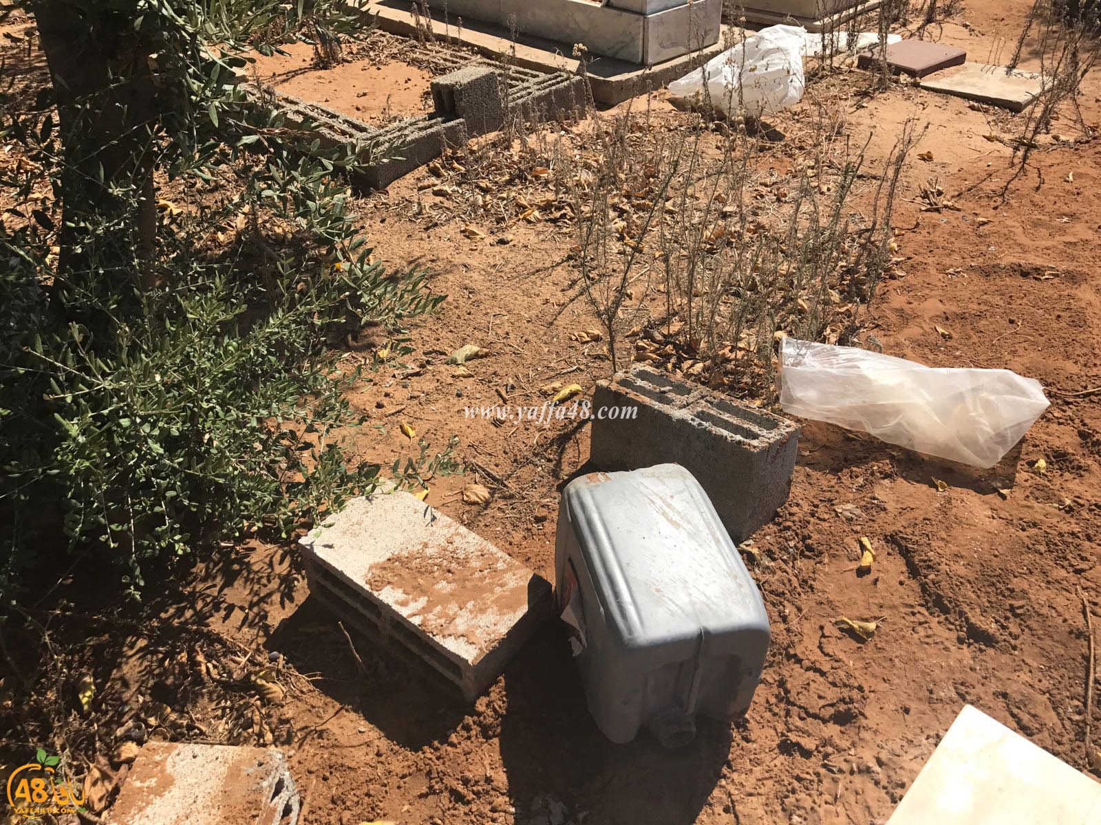 tasoo aswsaj3h (4).jpg